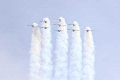 CF Snowbirds diamond