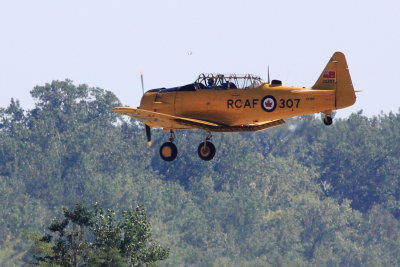 Canadian Harvard