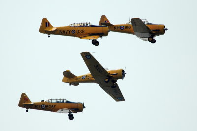 Canadian Harvards