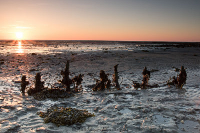 Sunrise at Texel