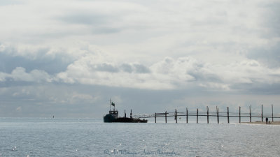 Waddenveer Texel-Vlieland