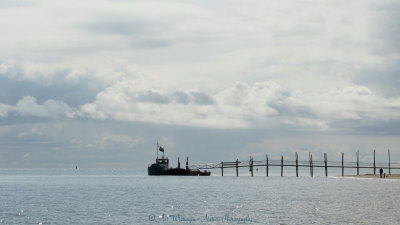 Waddenveer Texel-Vlieland 