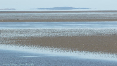 Wadenzee laag tij / Wadden Sea low tide