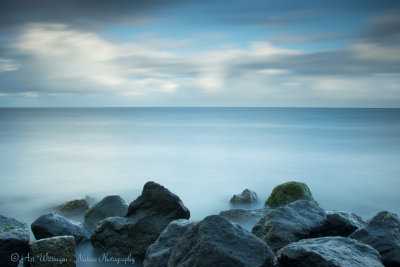 Wadden rust