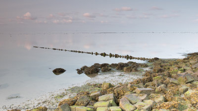 Waddenzee / Waddensea