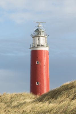 Vuurtoren / Lighthouse de Cocksdorp