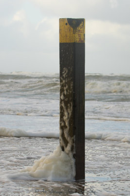Strandpaal / Beach pole
