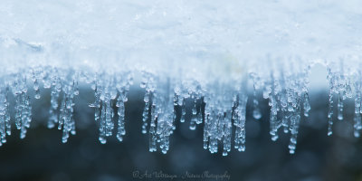 Ice Crystals - IJskristallen