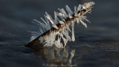Ice Crystals - IJskristallen