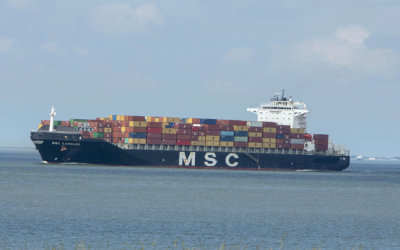 MSC Carouge 