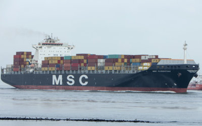 MSC Florentina 