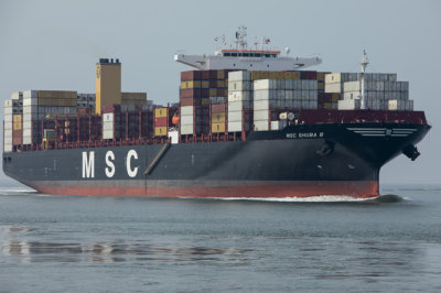 MSC Schuba B 