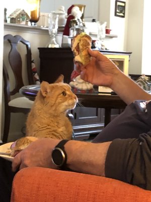 Sharing Lunch
