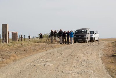 Great Bustard fields