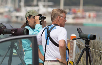 Birding Moss Landing