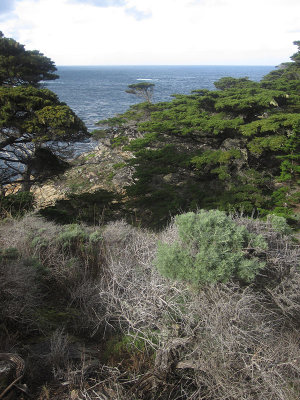 Point Lobos, California