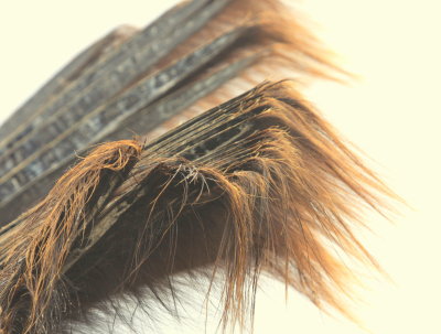 Whale Baleen at Gambell 03