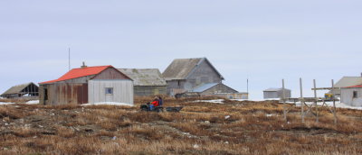 Gambell ATV grocery run 01