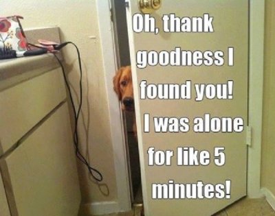 Hello.jpg