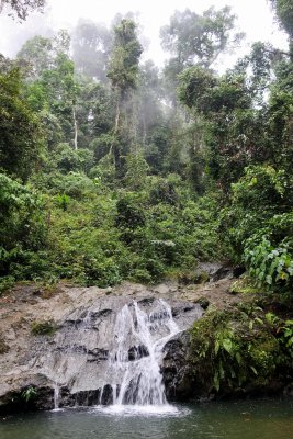 Danum, near Borneo Rainforest Lodge