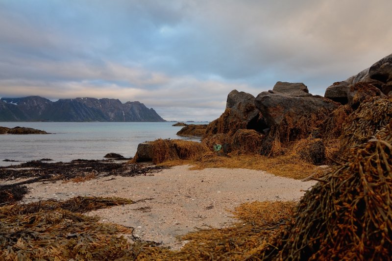 Low tide