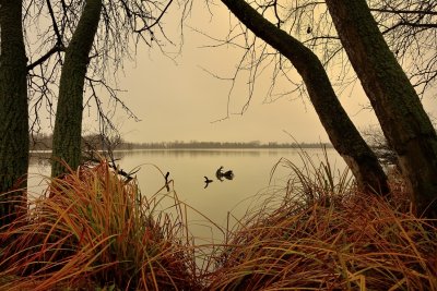 De Biesbosch 