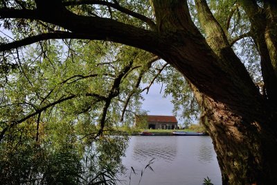 De Biesbosch 