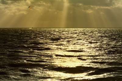 The lonely surfer