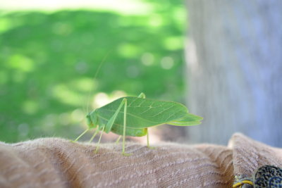 DSC_0832.JPG