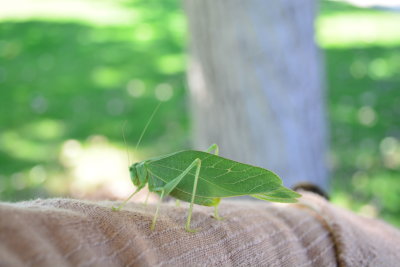 DSC_0834.JPG