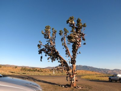 IMG_6269.Hwy395ShoeTree.jpg