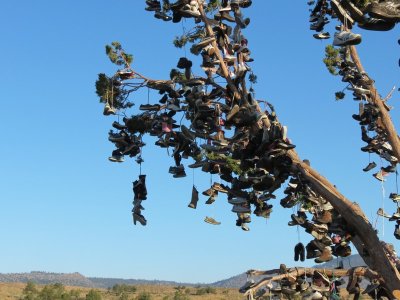 IMG_6270.ShoeTree2.jpg