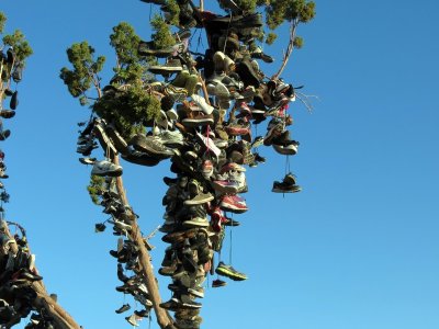 IMG_6271.ShoeTree-Close.jpg