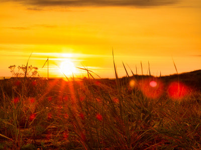 JutlandSunset.jpg