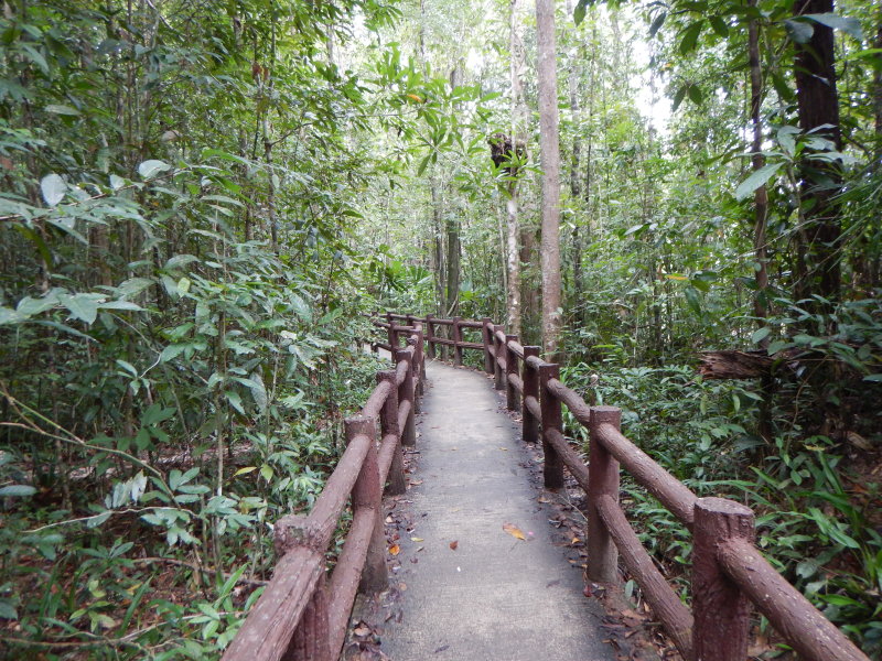 The path to Emerald Pool