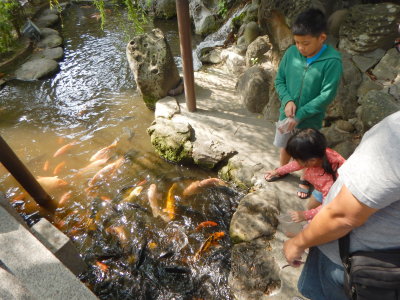 Feeding fish by Chihkan Tower