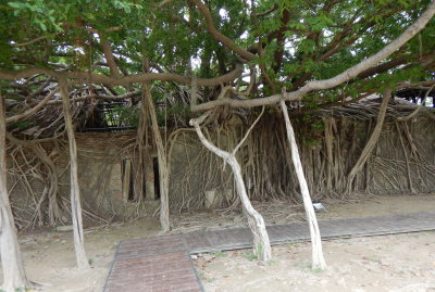 Anping tree-house