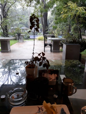 Rain. Flower Gardens Eco Hotel.