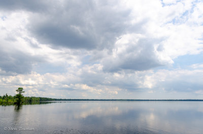 _DSC3467.jpg