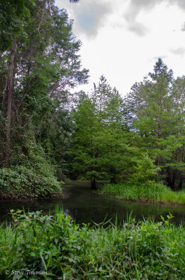 _DSC3505.jpg