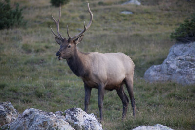 IMG_7075.jpg
