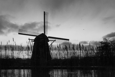 Windmill near Amsterdam