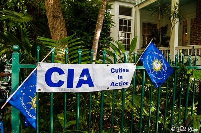 CIA -- Cuties in Action  13