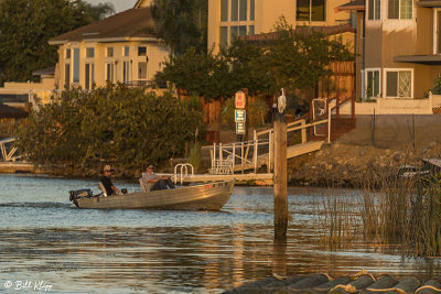 Discovery Bay Boating 41