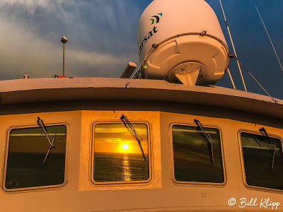 Sunrise, National Geographic Sea Lion  1