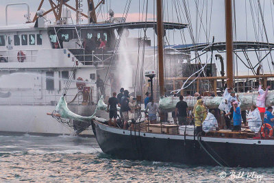 g10/57/566457/3/167392671.7CeLjkie.jpg