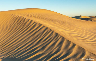 Dunes at Magdalena Bay   3