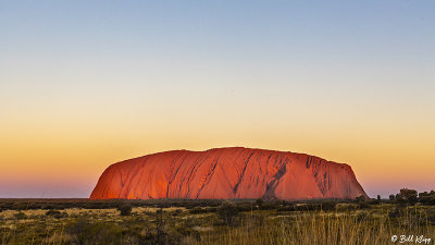 Sunset at Uluru Rock   1