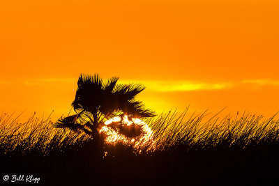 Discovery Bay Sunset 2018 1