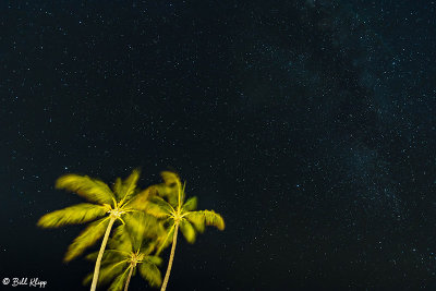 Lizard Island Night Sky  1